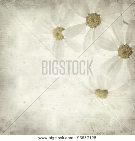 Textured Old Paper Background