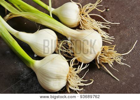 Fresh garlic from grown in kitchen garden