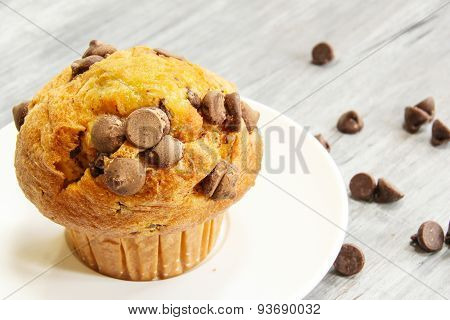Chocolate Chip Cup Cake