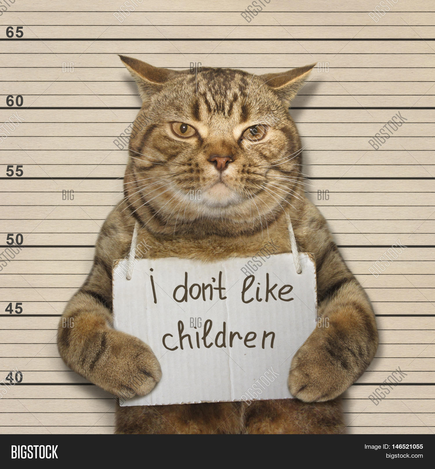 Cat Do Not Like Nasty Image & Photo (Free Trial) Bigstock