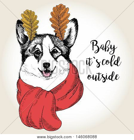 Vector close up portrait of welsh corgi wearing the red scarf and oak leaf ears. Hand drawn domestic dog illustration. Baby it s cold outside. Autumn engraved funny illustration.