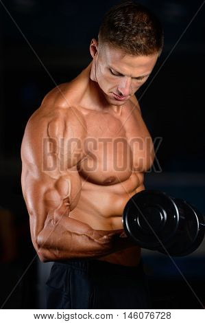 Handsome Muscular Bodybuilder Man Doing Exercises In Gym