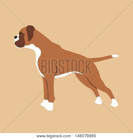 Boxer dog breed profile Flat style vector illustration brown