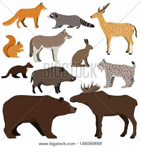 Vector set of cartoon forest animals. Brown bear raccoon squirrel spotted deer lynx marten wild boar elk wolf fox hare.