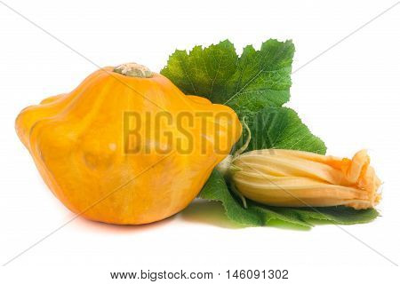 yellow pattypan squash with leaf and flower isolated on white background.