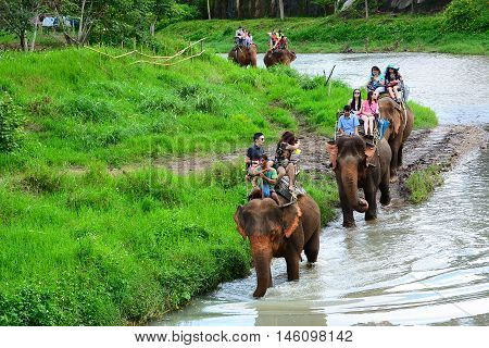 CHIANG MAI,THAILAND - November 13, 2015:Elephants and mahouts, while escorting tourists ridig elephants along the river in  Mae Wang, Chiang Mai.