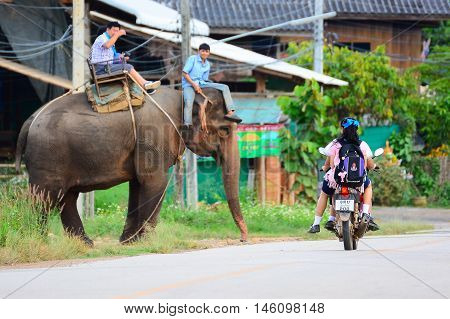 CHIANG MAI,THAILAND - November 13, 2015:Elephants and mahouts, while escorting tourists riding elephants to cross the road in  Mae Wang, Chiang Mai.