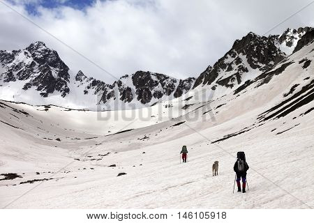 Two hikers with dog at spring snowy mountains in cloudy morning. Turkey Kachkar Mountains (highest part of Pontic Mountains).