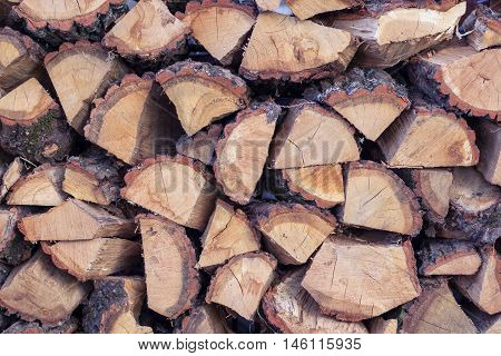 Dry wooden logs placed in cord natural background