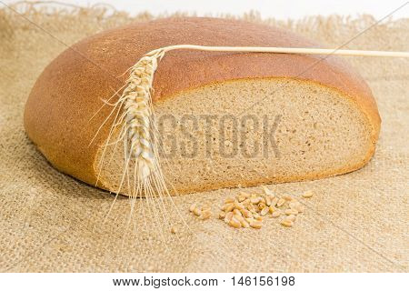 Partly cut round loaf of wheat and rye hearth bread wheat spike and wheat grain on a sackcloth