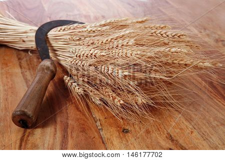 bunch of mown wheat ears with vintage handmade reaper hook sickle on light wooden table