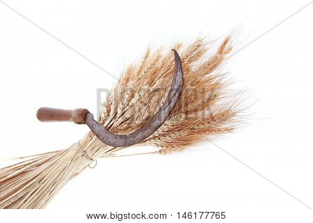 bunch of mown wheat ears with vintage handmade reaper hook sickle isolated on white background