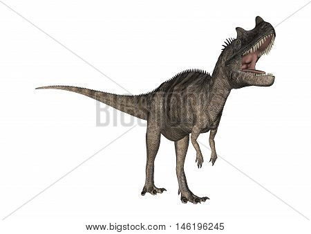 3D Rendering Dinosaur Ceratosaurus On White