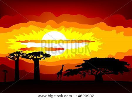 แอฟริกาอาทิตย์ - เวกเตอร์