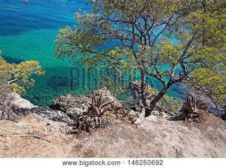 Cala Fornells Beach