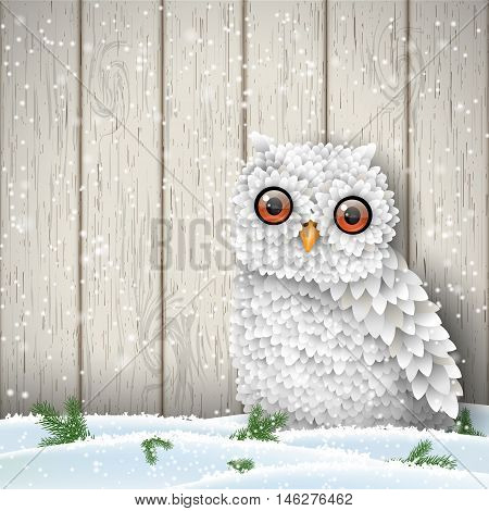 Cute white owl sitting in snow in front of white wooden wall, winter holiday theme, vector illustration, eps 10 with transparency