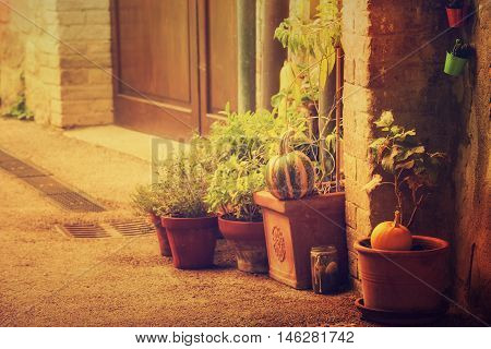 Empty street of small Tuscany town San Quirico d'Orcia in the morning fog with halloween pumpkin decorations. Romantic travel vintage hipster european italy background