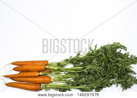 Sweet and fresh carrots with leafs on white