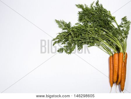 Sweet and fresh carrots with leafs on white