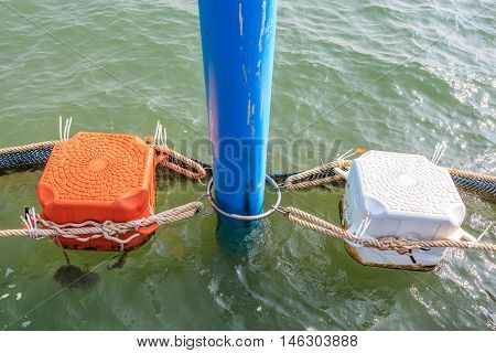 Close up orange and white sea buoys floating on sea.