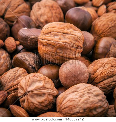 Different Kinds Of Nuts In Shells ,cashew, Almond, Walnut, Hazelnut, Pistachio, Hazelnuts, Pecan And