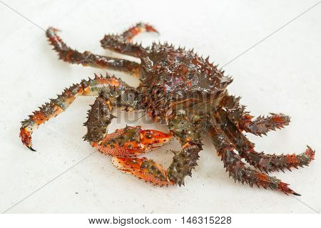 Freshly-Speared kamchatka king crab on the deck of the yacht.