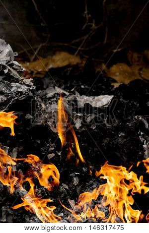 frame of fire burning on paper in the forestbackground