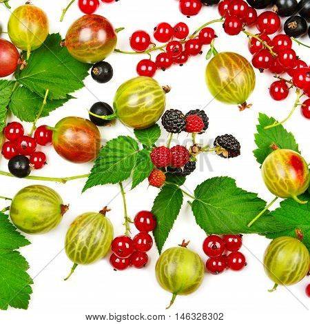 berries black and red currants gooseberries and blackberries isolated on white background