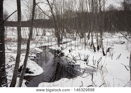 Winding forest river in the early spring on a background of snow