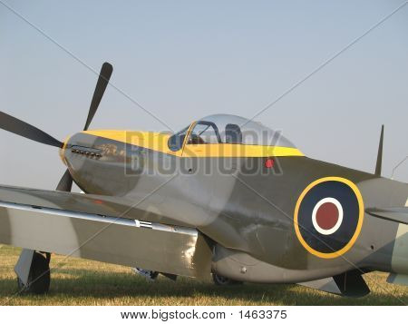 Kanadensiska Mustang