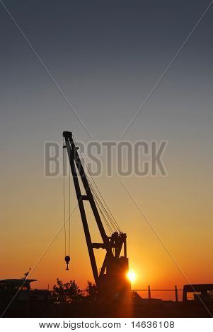 Grue sur coucher de soleil