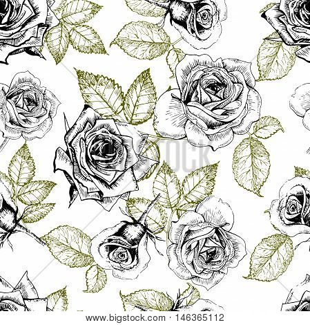 Vector seamless patern of roses. Hand drawn engraved vintage illustration. Good for wrapping papper shop textile greeting card design fashion celebration. Floral background.