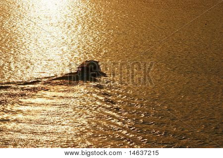 Taxi barca Parga Grecia al tramonto