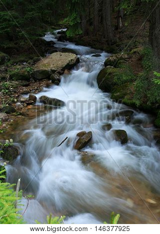 beautiful fast stream winds in the woods