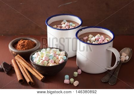 hot chocolate with mini marshmallows cinnamon winter drink