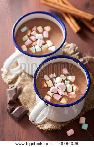 hot chocolate with mini marshmallows cinnamon winter drink