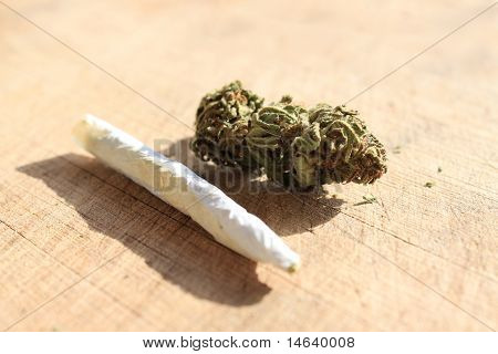 처방전 마리화나