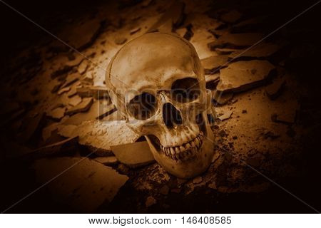 Human skull on ruins place,Horror Background For Halloween Concept And Movie Poster Project