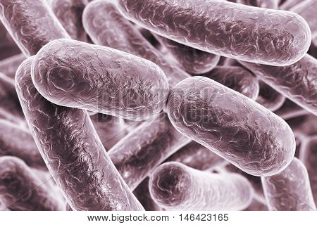 Bacterial infection. Rod-shaped bacteria, close-up view. 3D illustration