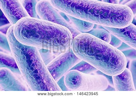 Bacterial infection. Rod-shaped bacteria, close-up view. 3D illustration