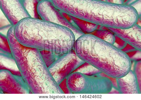 Bacterial infection. Rod-shaped bacteria, close-up view. 3D illustration
