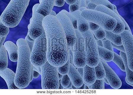 Bacterial infection. Rod-shaped bacteria, close-up view. 3D illustration