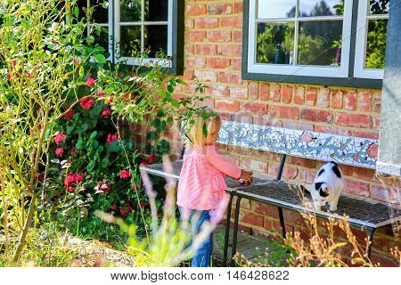 DUNEDIN NEW ZEALAND - FEBR 10 2015: attractive little girl with a ball in her hands looking at the cat. Brick house exterior with custom made bench.