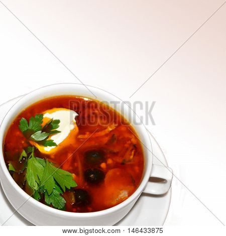 Russian Soup Solyanka