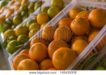 Fruit market with various colorful fresh fruits