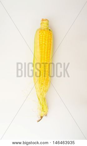 Fresh Corn With Cob