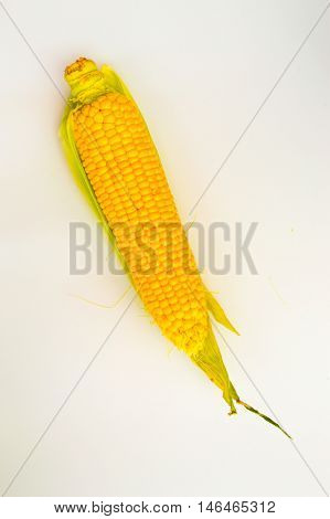 Fresh Corn With Cob