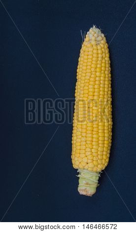 Fresh Corn With Cob