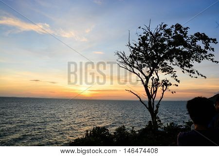 A view of sunset at the sea with the shadow of tree and blue sky with partly clouds in Chanthaburi Thailand.