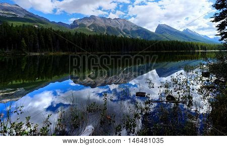 Mountains reflection in calm lake. Honeymoon lake in Canadian Rokies. Jasper National Park. Alberta. Canada.